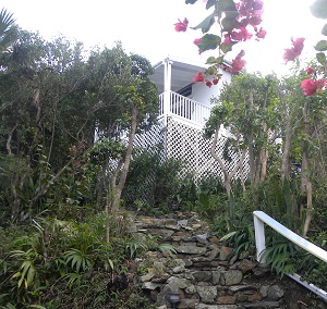 Treetop Cottage Virgin Islands St. John
